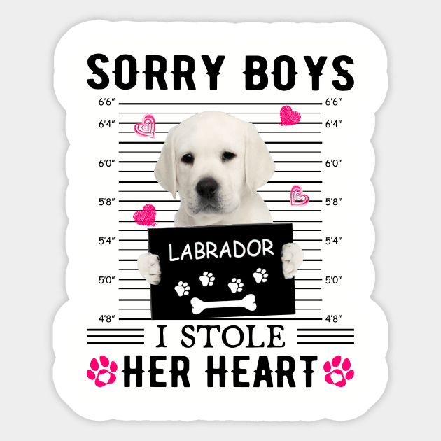 White Labrador Sorry Boys I Stole Her Heart Valentine Sticker by PlumleelaurineArt